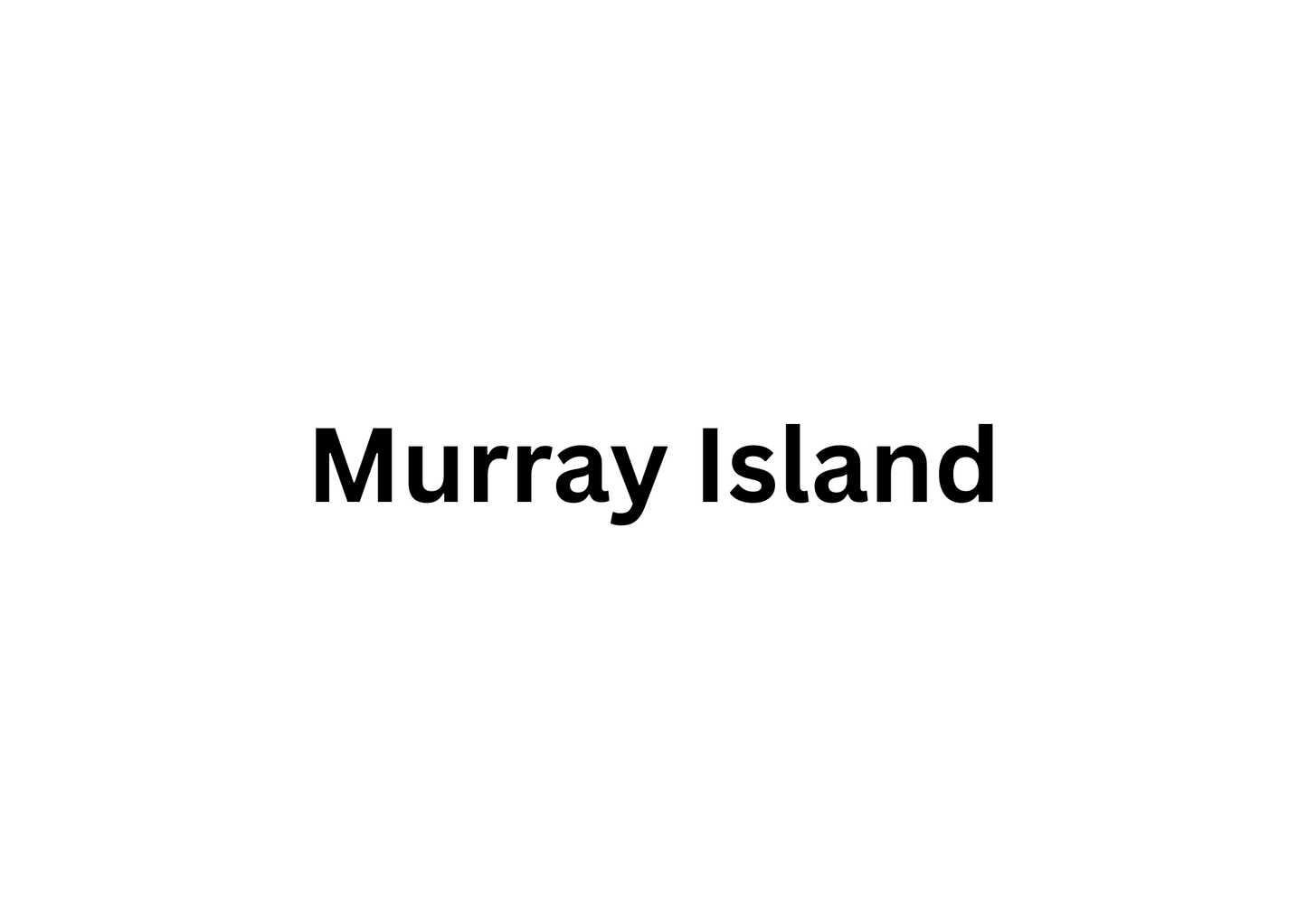 Schizostachyum Murray Island
